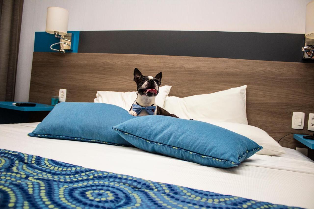 Hilton Garden Inn Santo Andre Eksteriør bilde